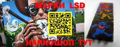 spice Кинель