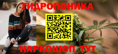 spice Кинель
