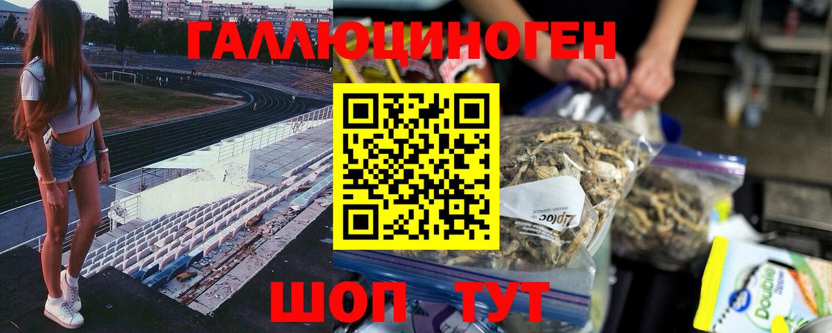 Корсаков  Псилоцибиновые грибы ЛСД  Вход с VPN 