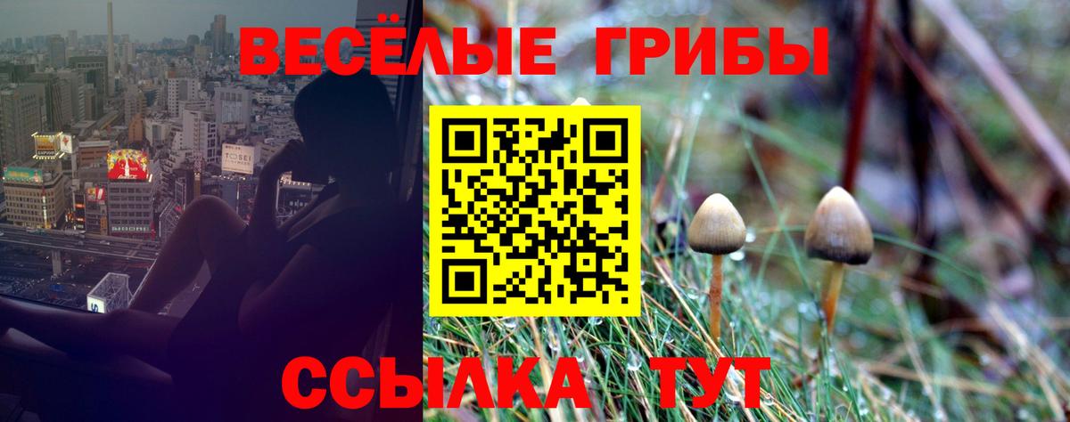 Псилоцибиновые грибы ЛСД Корсаков